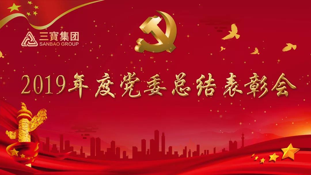 万众一心加油干，不负韶华勇向前｜三宝集团党委召开2019年度总结表彰会