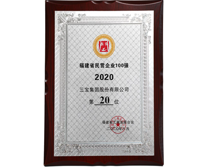 福建省民营企业100强20位